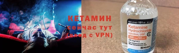 хмурый Верея